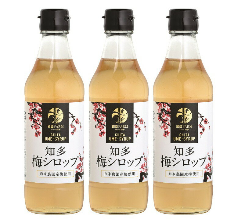 【ふるさと納税】梅シロップ340ml　3本