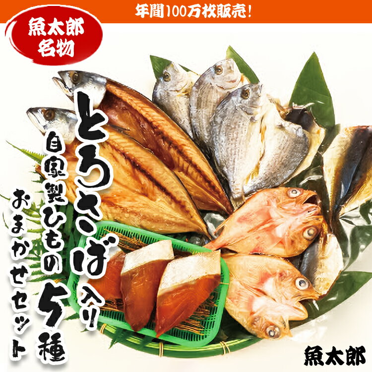 【ふるさと納税】年間100万枚販売！魚太郎名物【とろさば】入り・自家製ひもの5種おまかせセット★鮮度にこだわる魚屋が丁寧に手作業で作りました！※北海道・沖縄・離島への配送不可※着日指定不可のサムネイル