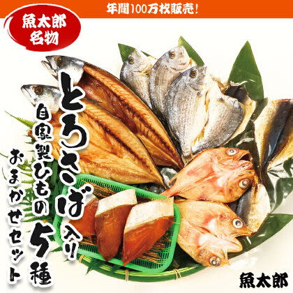 年間100万枚販売！魚太郎名物【とろさば】入り・自家製ひもの5種おまかせセット★鮮度にこだわる魚屋が丁寧に手作業で作りました！※北海道・沖縄・離島への配送不可※着日指定不可