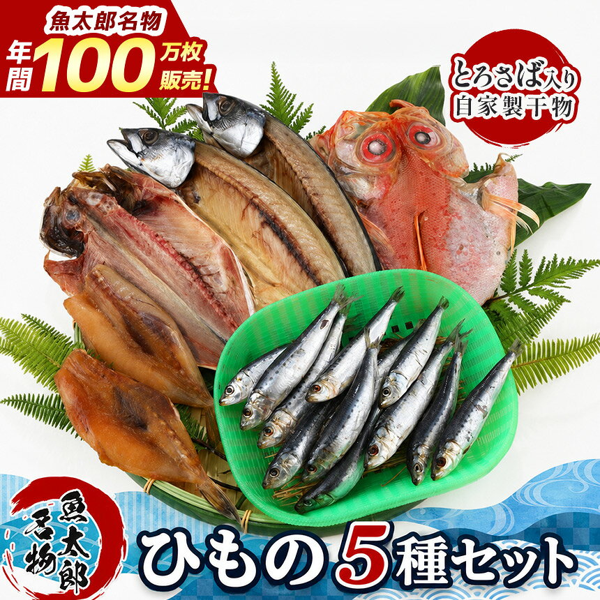 [美浜町・南知多町共通返礼品]年間100万枚販売!魚太郎名物[とろさば]入り・自家製ひもの5種セット★鮮度にこだわる魚屋が丁寧に手作業で作りました! ※北海道・沖縄・離島への配送不可