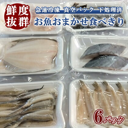 鮮度抜群！お魚おまかせ食べきり6パック・下処理加工してあるので解凍してすぐに調理できます。※着日指定不可※北海道・沖縄・離島への配送不可