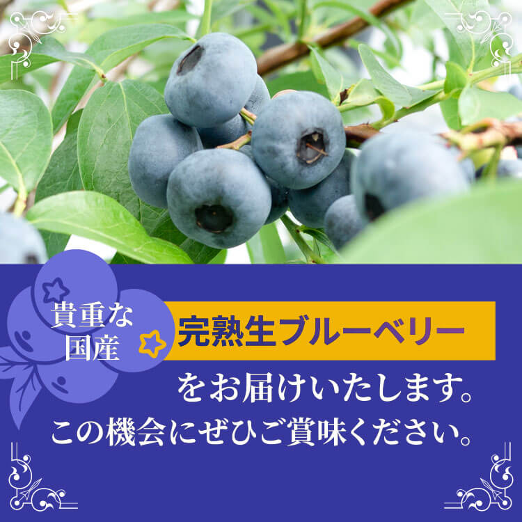 愛知県美浜町の画像3