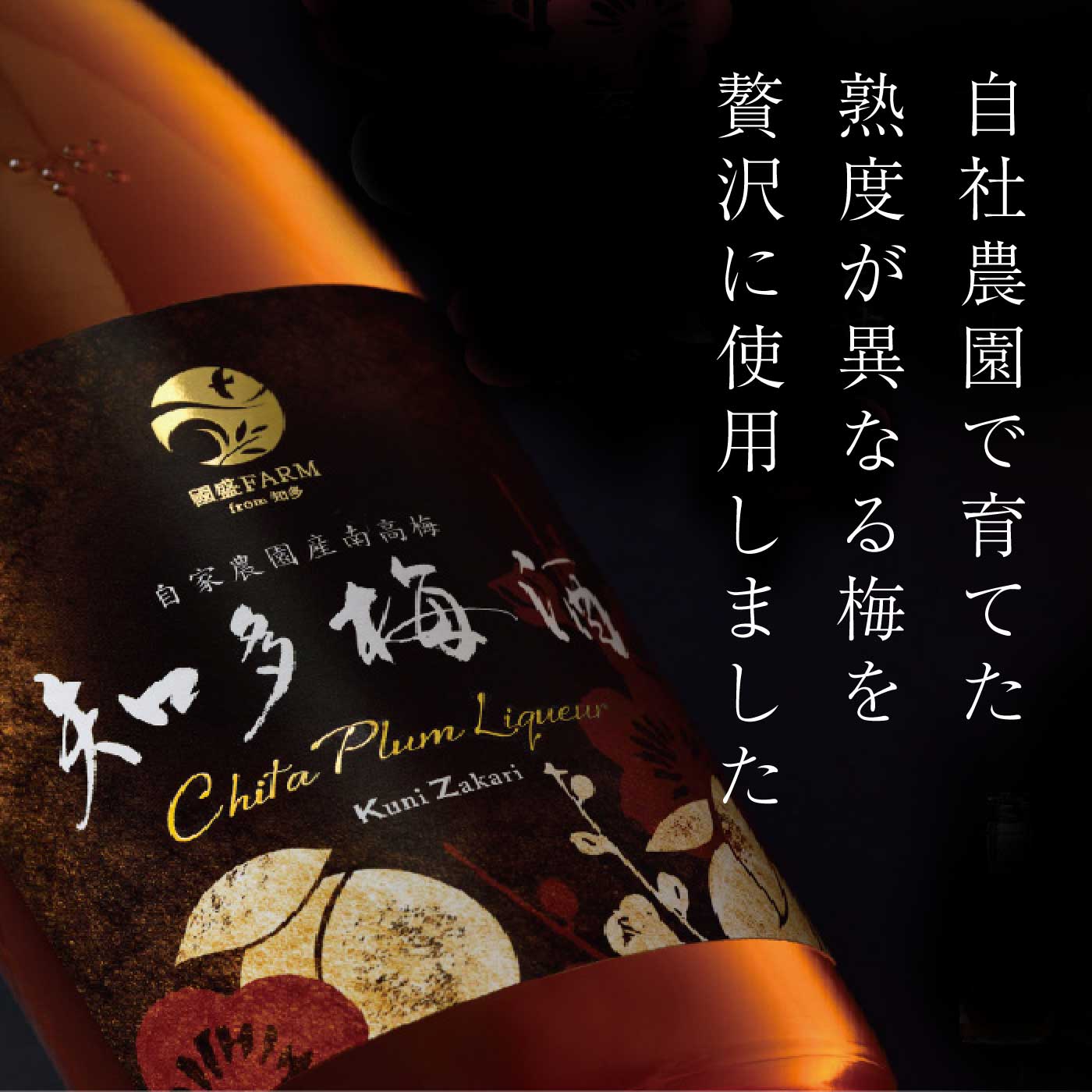 愛知県美浜町の画像2