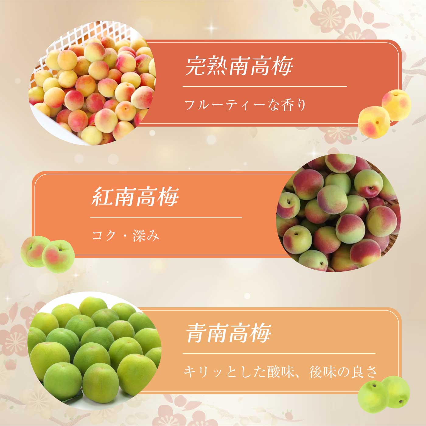 愛知県美浜町の画像3