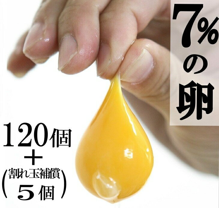 【ふるさと納税】7%の卵 120個 三代目卵三兄弟【毎月限定50セット】