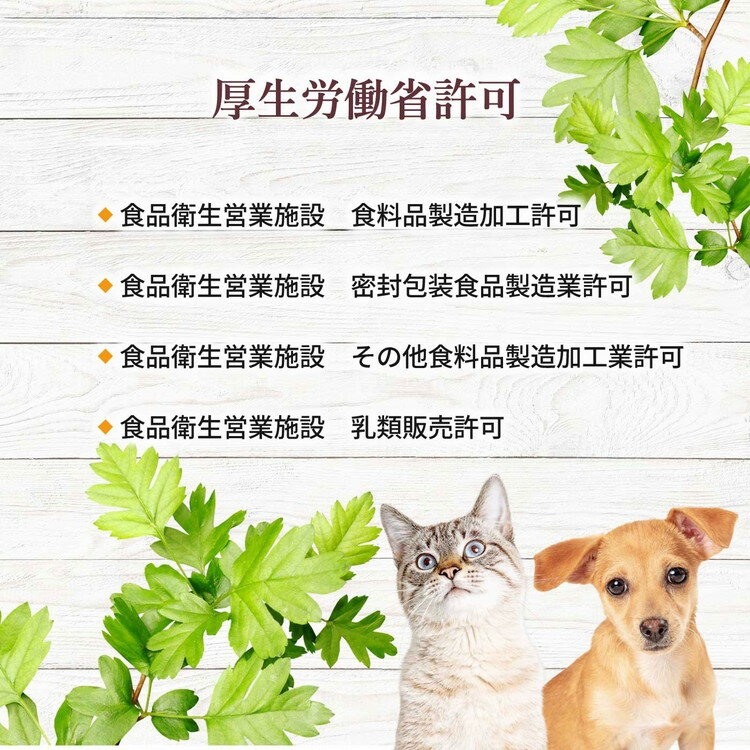 愛知県美浜町の画像2