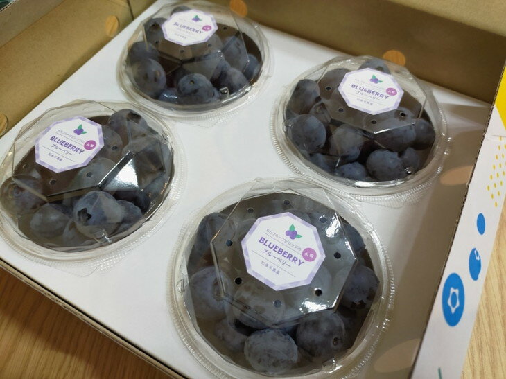 愛知県美浜町の画像3