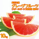 【ふるさと納税】美浜町産グレープフルーツ(スタールビー) ご家庭用 傷あり 約10kg ※2025年5月上旬〜7月上旬頃に順次発送予定