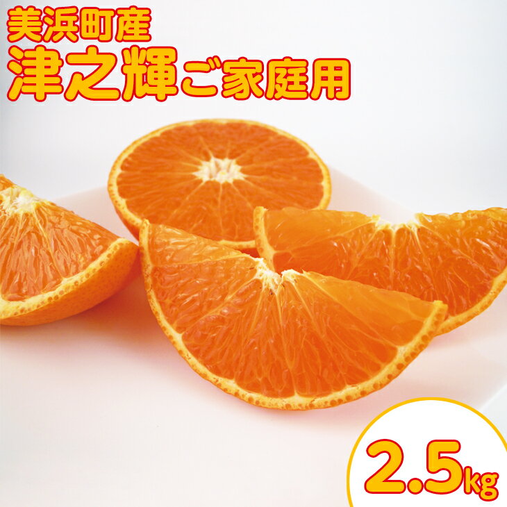 【ふるさと納税】美浜町産　津之輝　ご家庭用　約2.5kg ※2024年3月上旬～下旬頃に順次発送予定 ※着日指定不可のサムネイル