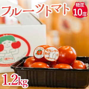 【ふるさと納税】フルーツトマト糖度10度　1.2kg | 愛知県産 国産 野菜 産地直送 高糖度※2...