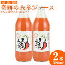 19位! 口コミ数「1件」評価「5」奇跡の人参ジュース 出口崇仁農園【1000ml×2本】りんご果汁入り・ストレート｜にんじんジュース 野菜ジュース ドリンク 果汁※離島への配･･･ 