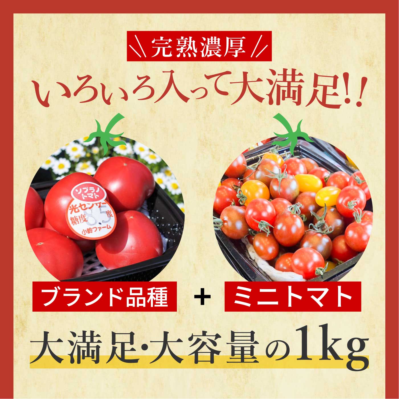 愛知県美浜町の画像2