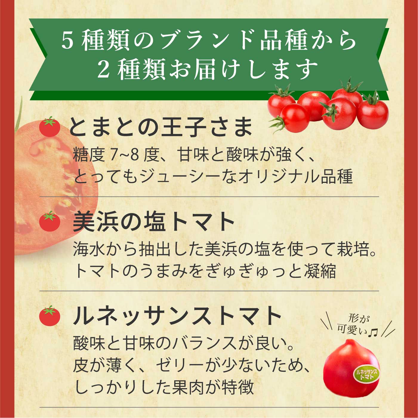 愛知県美浜町の画像3