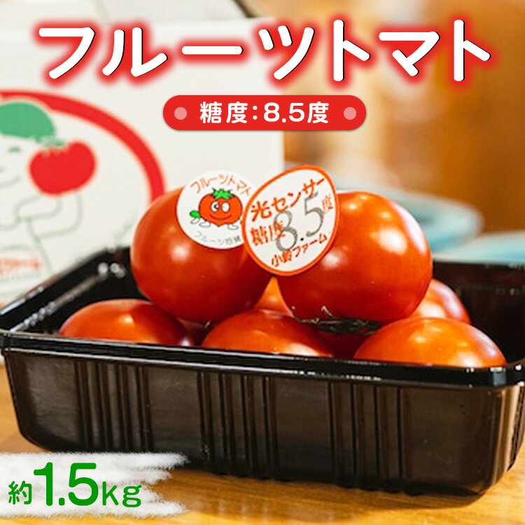 フルーツトマト糖度8.5度 約1.5kg ※2026年1月上旬〜4月下旬頃に順次発送予定◆とまと トマト フルーツトマト 野菜 やさい 人気 新鮮 産地直送 甘い 高糖度 完熟 食べやすい リコピン ビタミン ダイエット 美容 美肌 愛知県 美浜町