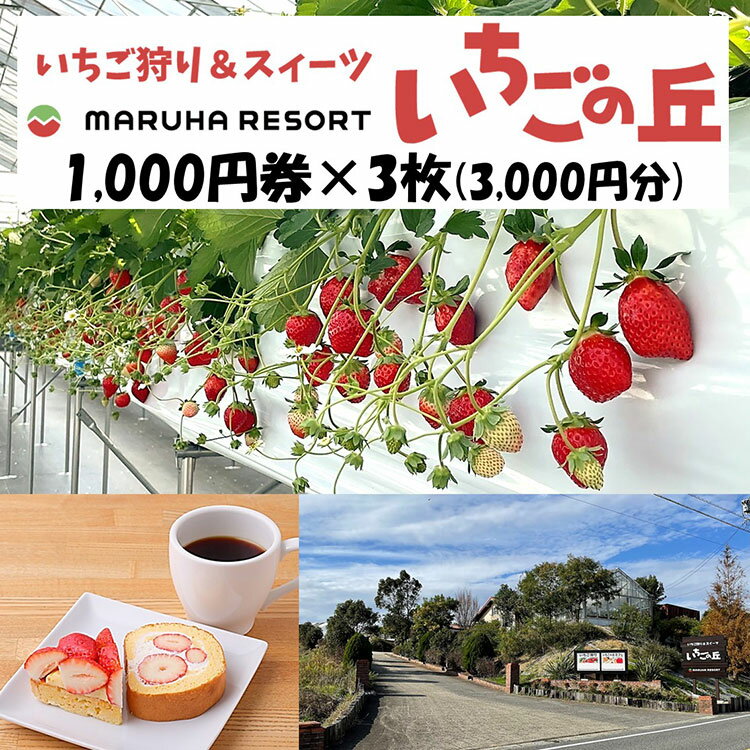 『いちごの丘』は、知多半島の先端、知多湾を望む小高い丘の上に開園した「いちご狩り農園」です。 併設のカフェでは、新鮮ないちごのパフェやケーキ等をお召し上がりいただけます。 テイクアウトも承っておりますので、お気軽にお立ち寄りください♪♪ ▽▽▽　いちご狩り　▽▽▽ 市場に出回っているいちごは、荷崩れを防ぐため、多くは、約80％の成熟度で出荷されています。 『いちごの丘』のいちご狩りでは、いちご狩りでしか食べることが出来ない、もっとも美味しい完熟のいちごをお召し上がりいただけます。 ▽▽▽　スィーツとカフェ　▽▽▽ 獲れたて新鮮ないちごを使用したスィーツをお召し上がりいただけます。 海が近く、自然も豊かで、カフェからの景色は抜群です♪♪ 【いちごの丘1,000円券のご利用方法】 Step1．券の到着後、お電話、または、予約フォームより、ご予約くださいませ。 　※いちご狩り体験、スィーツ購入、共に、ご予約いただけます。 　※ご予約のない場合は、満席・売り切れ等により、ご利用をお断りする場合がございます。 Step2．ご利用の当日は、券をご持参のうえ、受付にて、ご提示くださいませ。 　※お忘れの場合は、券をお支払いに、ご利用できません。 Step3．お会計の際に、券をご提出いただき、お支払いに、ご利用くださいませ。 ●開園期間：12月初旬～5月中旬迄予定 　※定休日は、毎週火曜日予定。（祝祭日の場合は営業、休業日を繰り下げ） ●いちごが収穫できない期間は、休園となるため、ご利用いただけません。 　※休園期間は、5月中旬～12月初旬迄予定。 ●画像はイメージです。 ◎詳細は、公式ホームページをご確認いただくか、お電話にてお問い合わせくださいませ。 　いちごの丘　TEL.0569-83-1519 商品説明 名称 まるは食堂 マルハリゾート いちごの丘1,000円券3枚（3,000円分） 商品内容 マルハリゾート いちごの丘でご利用いただける 1,000円券3枚（3,000円分） ※いちご狩り体験料金、スィーツ、その他お土産等の購入にご利用いただけます。（一部、ご利用できない商品がございます） 有効期限 発送日から1年 製造者 マルハリゾート いちごの丘 愛知県知多郡美浜町大字豊丘字樹木109-1 提供元 株式会社まるは ・寄附申込みのキャンセル、返礼品の変更・返品はできません。あらかじめご了承ください。 ・ふるさと納税よくある質問はこちらまるは食堂 マルハリゾート いちごの丘1,000円券3枚（3,000円分）