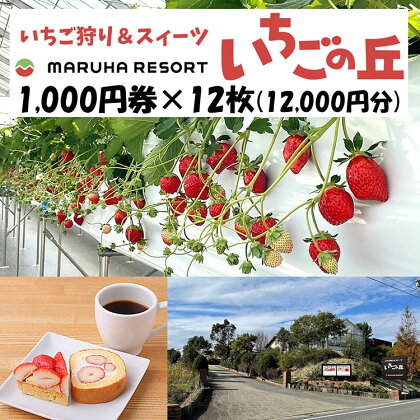 まるは食堂 マルハリゾート いちごの丘1,000円券12枚（12,000円分）※着日指定不可