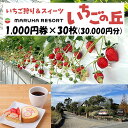 まるは食堂 マルハリゾート いちごの丘1,000円券30枚（30,000円分）※着日指定不可