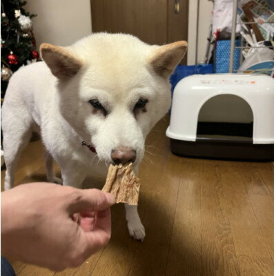 【ふるさと納税】どこでもスグに愛犬のおやつ　牛たん皮約40g×3ヶセット【1448716】