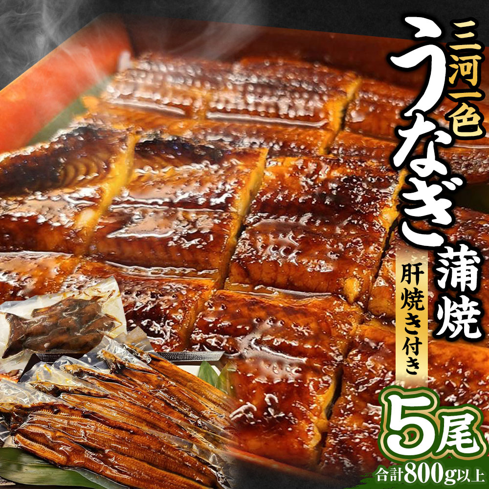 三河一色 うなぎ蒲焼 5尾 合計800g以上 (肝焼き付き) 三河一色産 うなぎ 鰻 ウナギ 蒲焼 蒲焼き 肝焼き 肝焼 冷凍 国産 愛知県産 送料無料