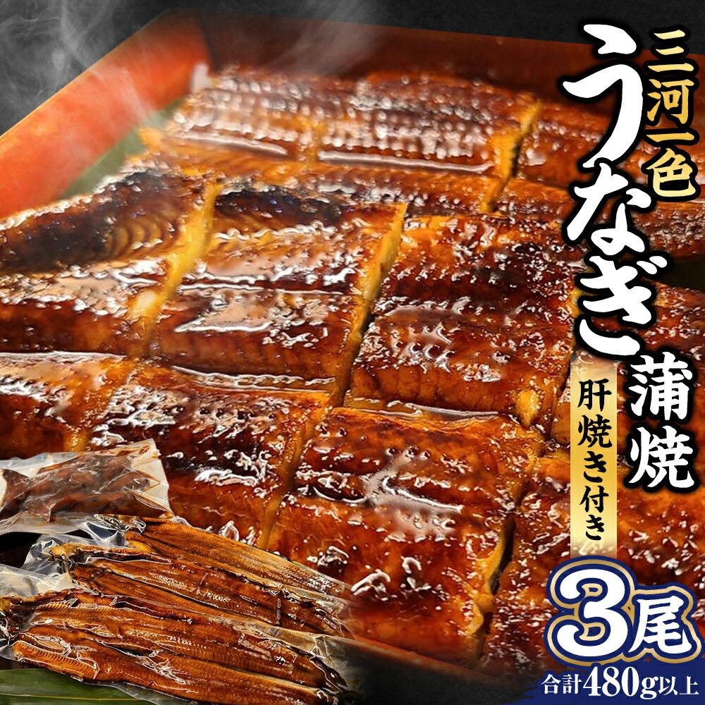 【ふるさと納税】三河一色うなぎ蒲焼 3尾 合計480g以上 (肝焼き付き) うなぎ 鰻 ウナギ 蒲焼 蒲焼き 肝焼き 国産 愛知県産 冷凍 送料無料