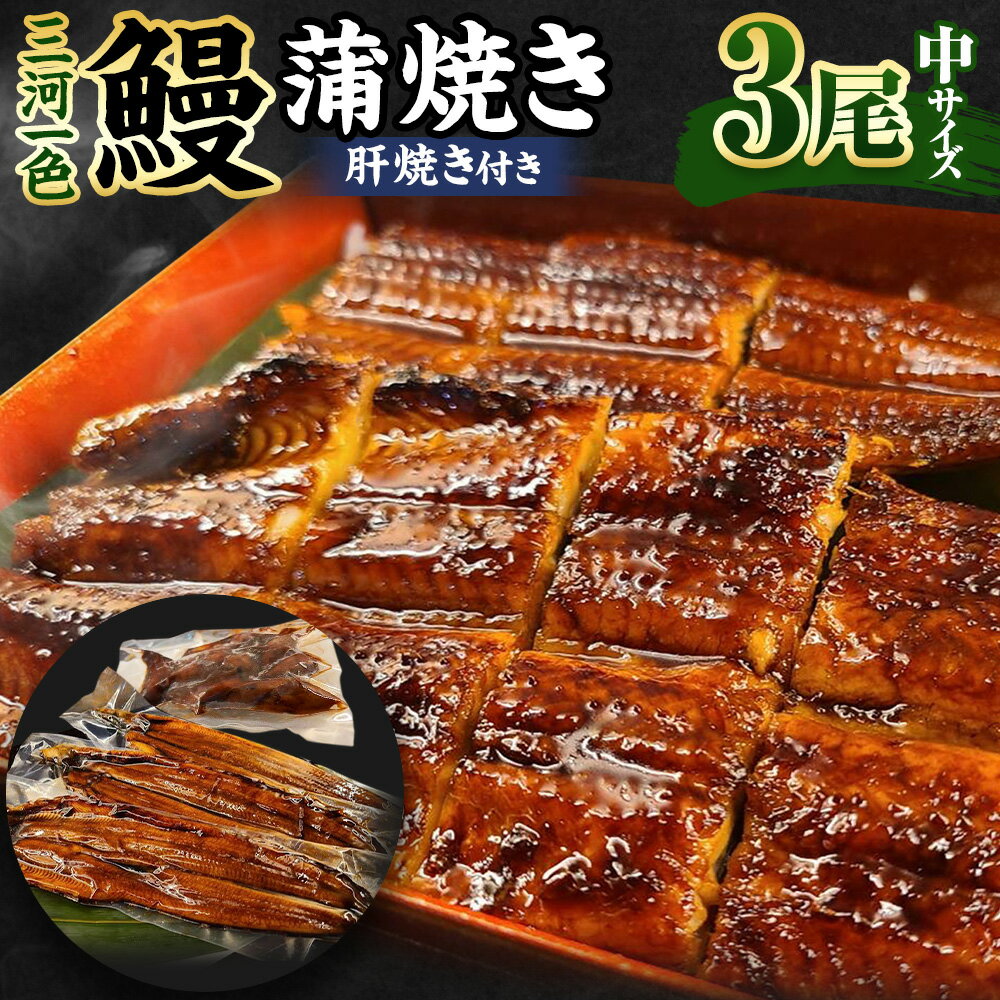 【ふるさと納税】(中)5P 三河一色 鰻 蒲焼き 3尾 (肝焼き付き) うなぎ かば焼き 肝焼き タレ付き セット お魚 湯煎 レンジ 惣菜 簡単調理 冷凍 幸田町 送料無料