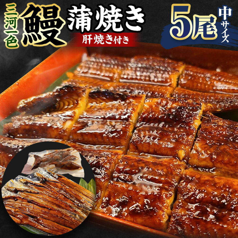 【ふるさと納税】(中)5P 三河一色 鰻 蒲焼き 5尾 (肝