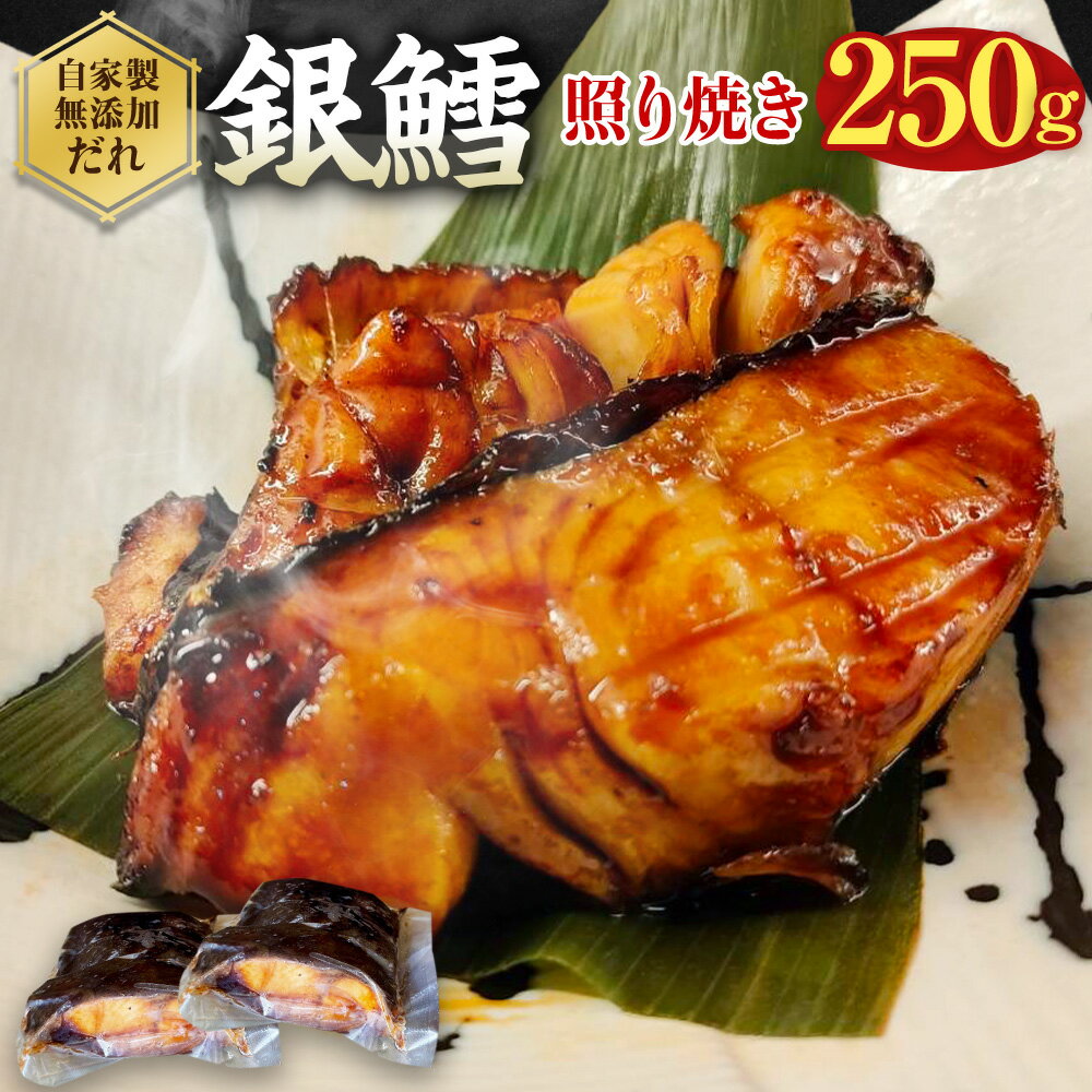 銀鱈 切身 照り焼き 250g 銀タラ 銀ダラ てりやき お魚 湯煎 惣菜 簡単調理 冷凍 幸田町 送料無料