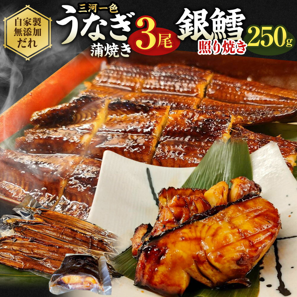 [中サイズ] 蒲焼き 3尾 銀鱈 切身 250g 肝串焼き付き セット 鰻 かば焼き 銀だら タラ 肝焼き タレ付き お魚 湯煎 惣菜 セット 簡単調理 冷凍 幸田町 送料無料