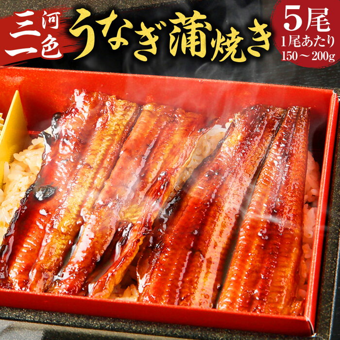 【ふるさと納税】三河一色 うなぎ蒲焼き 150～200g×5尾 三河一色産 うなぎ 鰻 ウナギ 蒲焼 蒲焼き 冷凍 送料無料