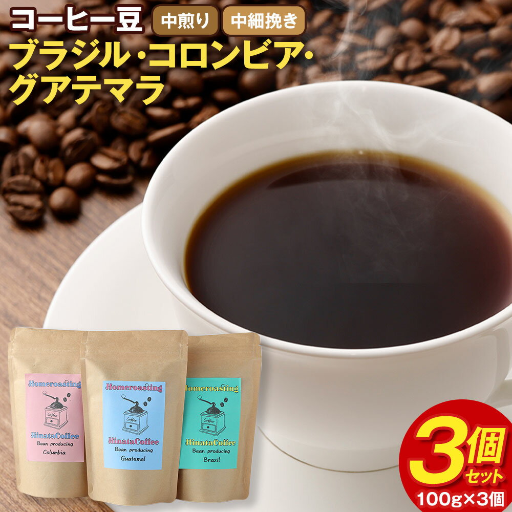 コーヒー豆 3個セット (100g×3個) 合計300g ブラジル コロンビア グアテマラ 中煎り 中細挽き 3種 ギフトBOX付き コーヒー 珈琲 自家焙煎 ひなた珈琲 幸田町 送料無料