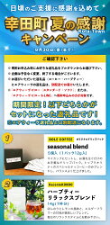 【ふるさと納税】【1週間以内に発送】【ピローケース付き さらに返礼品の追加】枕 エアウィーヴ ピロー ( S-LINE ) 日本製 寝具 枕 まくら マクラ 睡眠 安眠 快眠 寝具 洗える 洗濯機 高さ調整 ギフト 贈答 air weave おすすめ air weave エアウイーヴ エアウィーブ 送料無料･･･ 画像2