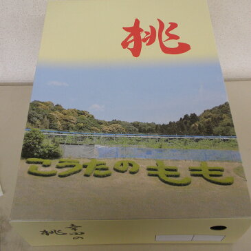 【ふるさと納税】《数量限定》幸田町産　「桃」　3kg　化粧箱※着日時指定、北海道・沖縄・離島への発送不可※7月上旬頃〜7月下旬頃に順次発送予定