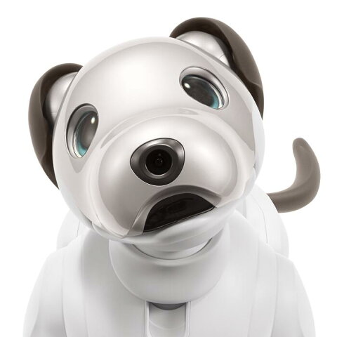 【ふるさと納税】aibo 自律型エンターテインメントロボット(カラー：アイボリーホワイト)　【令和2年度　全国発明表彰「内閣総理大臣賞」受賞】