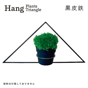 【ふるさと納税】GRAVIRoN Hang Plants シリーズ プランツハンガー Triangl...