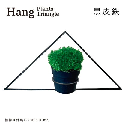 GRAVIRoN Hang Plants シリーズ プランツハンガー Triangle (黒皮鉄) ハンギングプランツ プランター ハンギング エアプランツ 吊るす 植物ホルダー 観葉植物 インテリア 金属製 おしゃれ モダン 日本製 送料無料