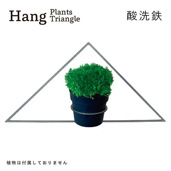 16位! 口コミ数「0件」評価「0」GRAVIRoN Hang Plants シリーズ プランツハンガー Triangle (酸洗鉄) ハンギングプランツ プランター ハンギン･･･ 