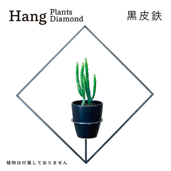 4位! 口コミ数「0件」評価「0」GRAVIRoN Hang Plants シリーズ プランツハンガー Diamond (黒皮鉄) ハンギングプランツ プランター ハンギング･･･ 