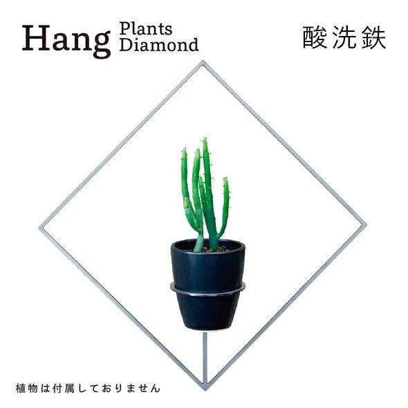 10位! 口コミ数「0件」評価「0」GRAVIRoN Hang Plants シリーズ プランツハンガー Diamond (酸洗鉄) ハンギングプランツ プランター ハンギング･･･ 