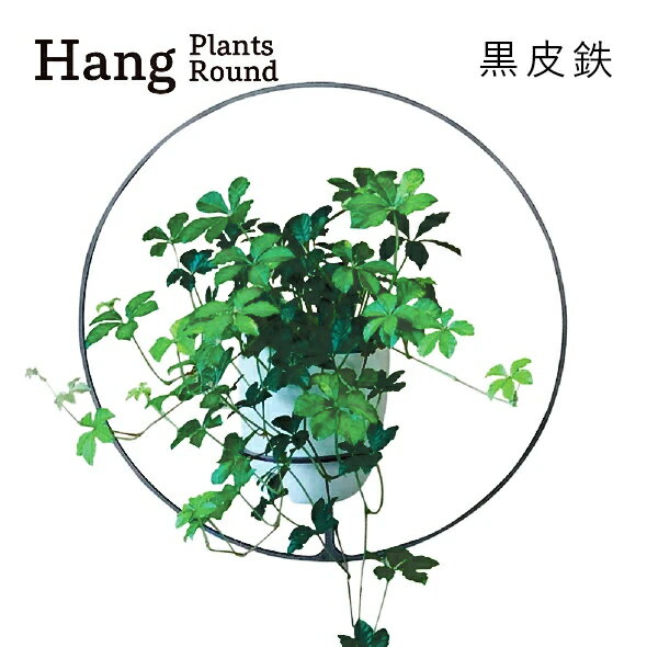 GRAVIRoN Hang Plants シリーズ プランツハンガー Round (黒皮鉄) ハンギングプランツ プランター ハンギング エアプランツ 吊るす 植物ホルダー 観葉植物 インテリア 金属製 おしゃれ モダン 日本製 送料無料