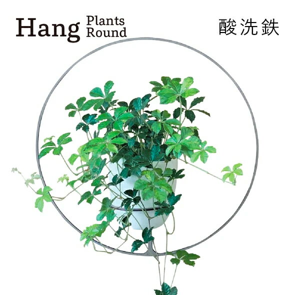 7位! 口コミ数「0件」評価「0」GRAVIRoN Hang Plants シリーズ プランツハンガー Round (酸洗鉄) ハンギングプランツ プランター ハンギング エ･･･ 