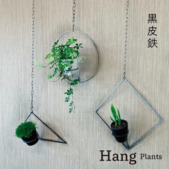 22位! 口コミ数「0件」評価「0」GRAVIRoN Hang Plants シリーズ プランツハンガー (黒皮鉄) Triangle/Diamond/Round 3種 セット･･･ 