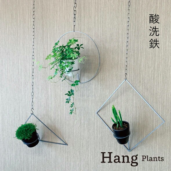 24位! 口コミ数「0件」評価「0」GRAVIRoN Hang Plants シリーズ プランツハンガー (酸洗鉄) Triangle/Diamond/Round 3種 セット･･･ 