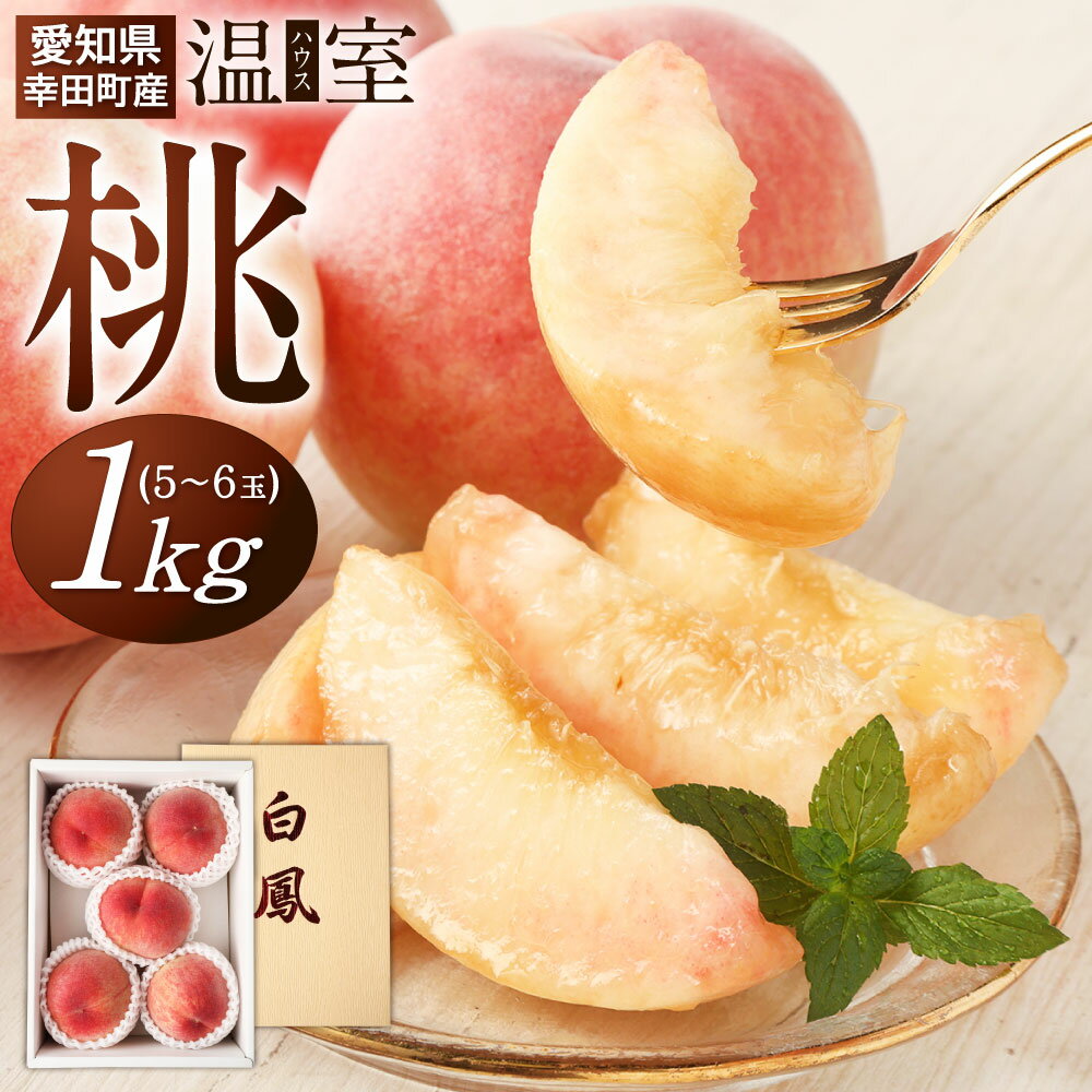 【ふるさと納税】《数量限定》幸田町産 「温室 ( ハウス ) 桃」1kg 化粧箱入り もも モモ スイーツ フルーツ 果物 デザート ※6月上旬頃〜6月下旬頃に順次発送予定 ※着日時指定不可※北海道・沖縄・離島への発送不可のサムネイル