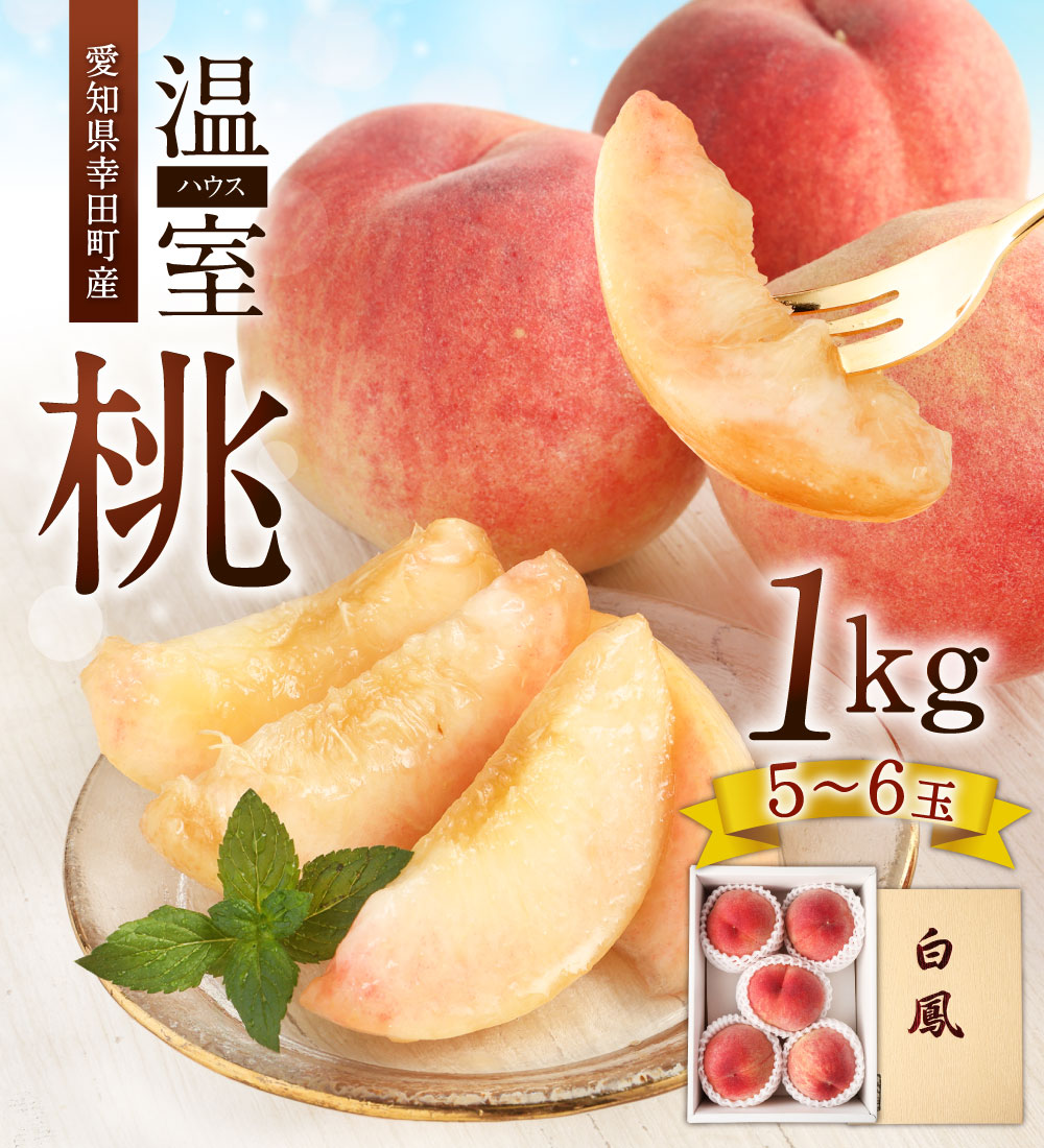 【ふるさと納税】《数量限定》幸田町産 「温室 ( ハウス ) 桃」1kg 化粧箱入り もも モモ スイーツ フルーツ 果物 デザート ※6月中旬頃〜6月下旬頃に順次発送予定 ※着日時指定不可※北海道・沖縄・離島への発送不可