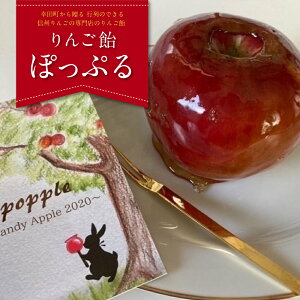 【ふるさと納税】りんご飴「ぽっぷる」( 3個 ) りんご農家が贈るりんご飴 【2024年9月より順次発送予定】 林檎あめ りんご飴 りんごあめ フルーツ アップル 送料無料