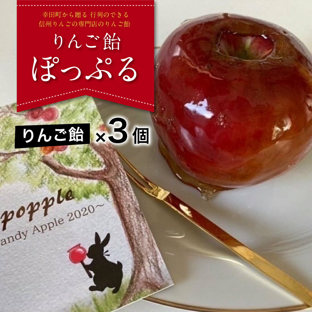 【ふるさと納税】りんご飴「ぽっぷる」( 3個 ) りんご農家が贈るりんご飴 【2024年9月より順次発送予定】 林檎あめ りんご飴 りんごあめ フルーツ アップル 送料無料