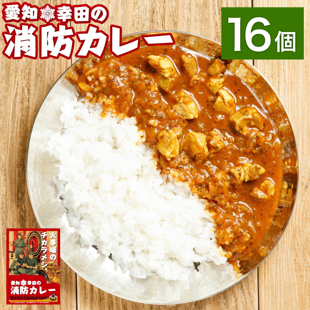 【ふるさと納税】幸田消防カレー 200g×16個 16食セッ