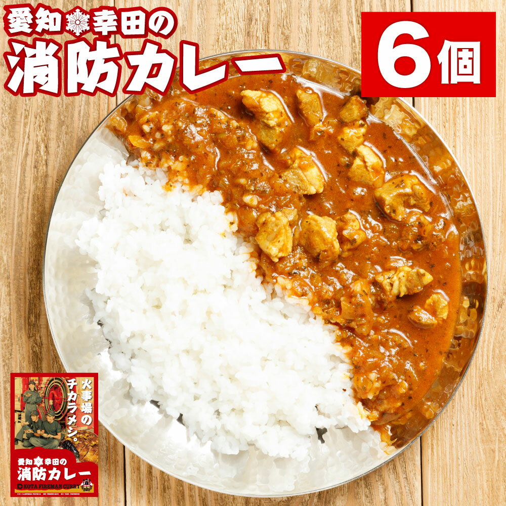 【ふるさと納税】幸田消防カレー 200g×6個 6食セット カレー レトルトカレー レトルト ご当地カレー 小麦粉不使用 豚肉 惣菜 常温保存 保存食 非常食 長期保存 送料無料