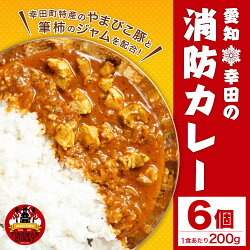 【ふるさと納税】幸田消防カレー 200g×6個 6食セット カレー レトルトカレー レトルト ご当地カレー 小麦粉不使用 豚肉 惣菜 常温保存 保存食 非常食 長期保存 送料無料･･･ 画像1