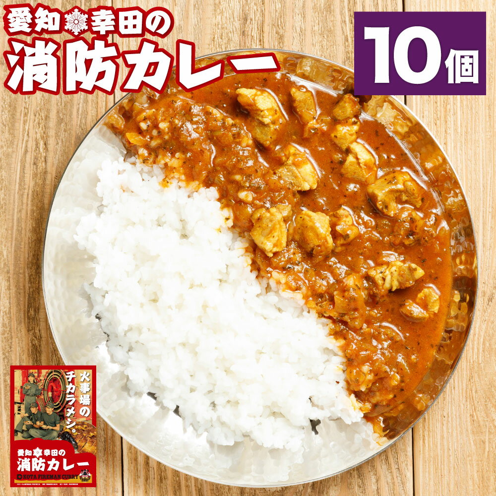 【ふるさと納税】幸田消防カレー 200g×10個 10食セッ